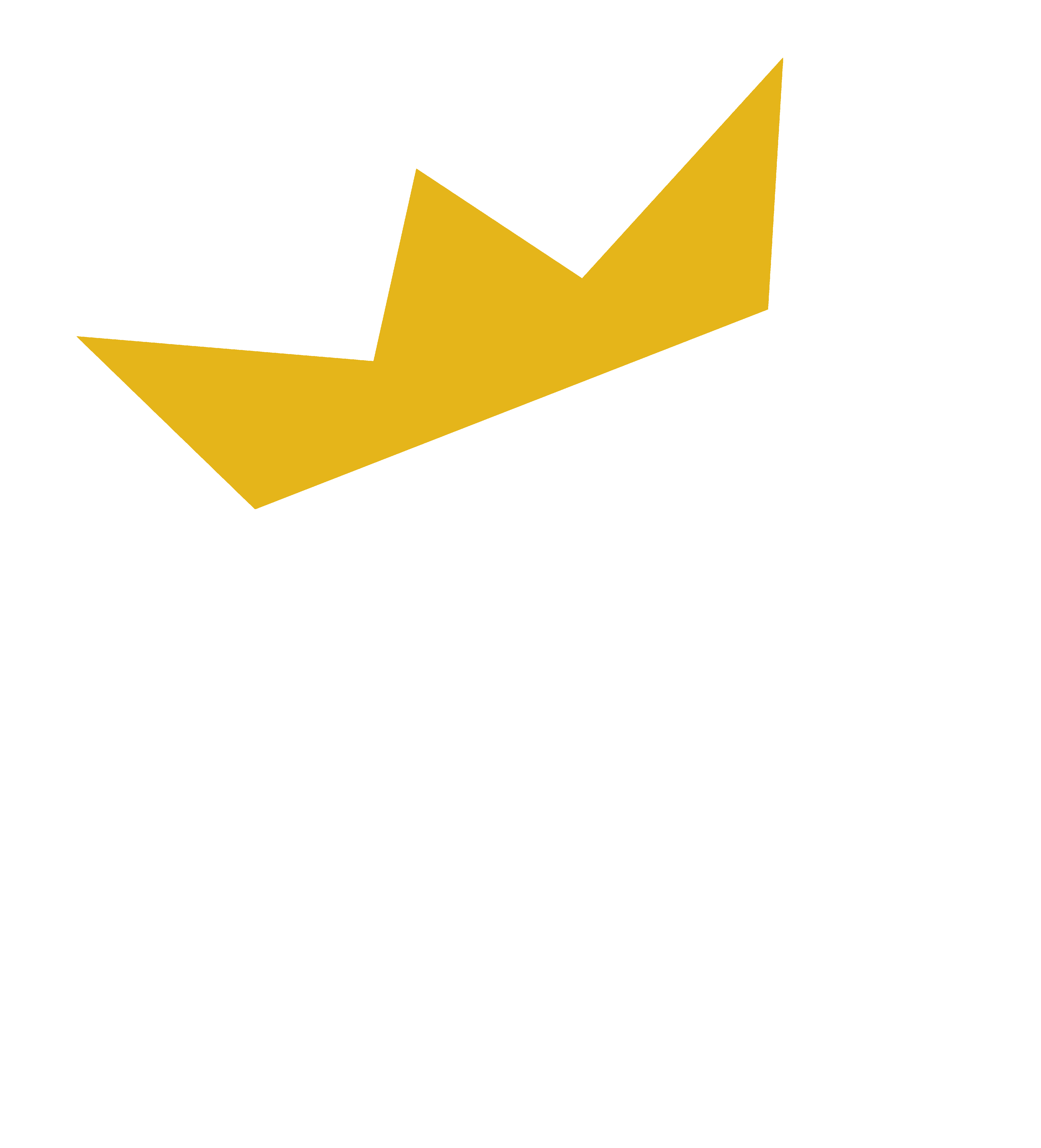 Final Takedown Logo